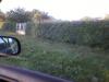 BIHOR oile, caprele, mistretii, hotii sau braconierii va distrug proprietatile ?