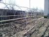 BIHOR arce si arcade solar solarii constructii sere legume