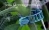 BIHOR Magazin agricol online cu sere si solarii hobby si profesionale plus accesorii,  la shop sere transi