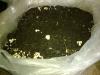 BIHOR cumpar compost si miceliu